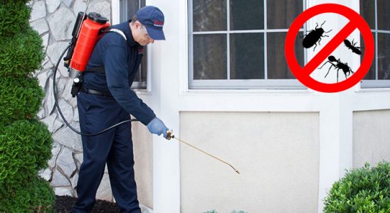 Yunak Dezenfeksiyon böcek ilaçlama ve haşere kontrolü — ilaclama-tr.com